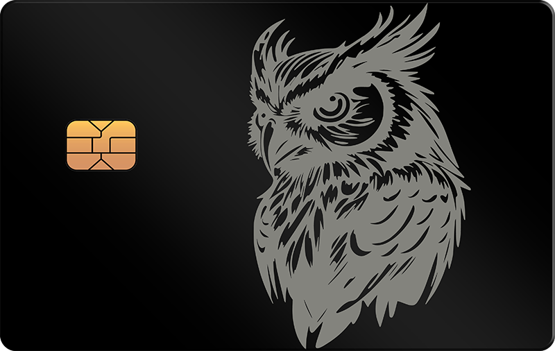 Owl 3